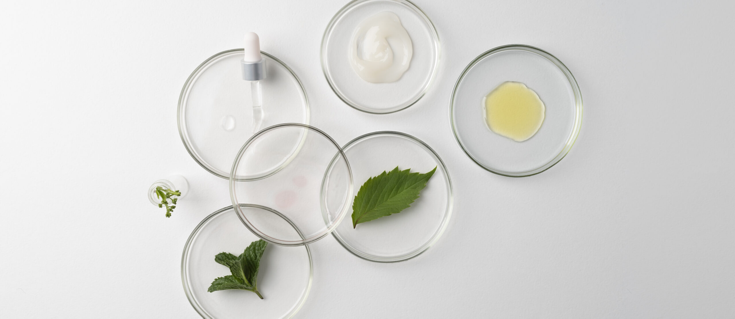 minimalistic-science-banner-with-sample